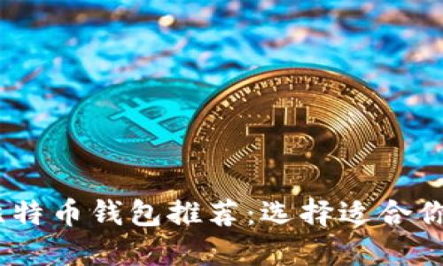 2023年最佳比特币钱包推荐：选择适合你的PC钱包指南