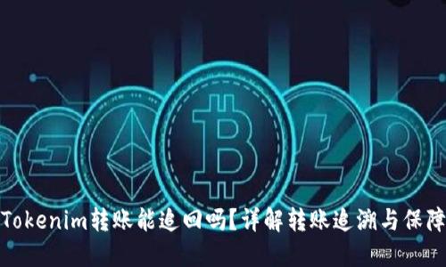 Tokenim转账能追回吗？详解转账追溯与保障