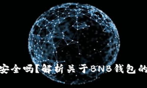 BNB钱包安全吗？解析关于BNB钱包的诈骗风险