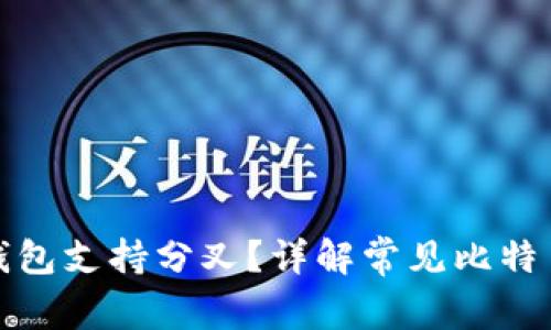 哪个比特币钱包支持分叉？详解常见比特币钱包优缺点