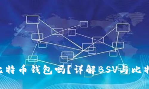 BSV币可以存入比特币钱包吗？详解BSV与比特币的存储兼容性