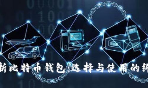 全面解析比特币钱包：选择与使用的终极攻略