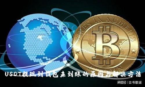 USDT提现到钱包未到账的原因与解决方法