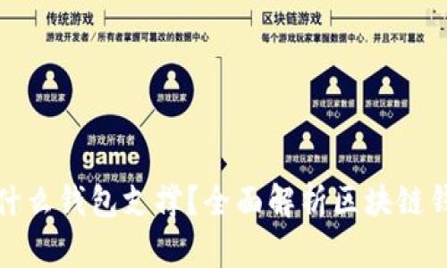 : 区块链主要用什么钱包支撑？全面解析区块链钱包的种类与功能