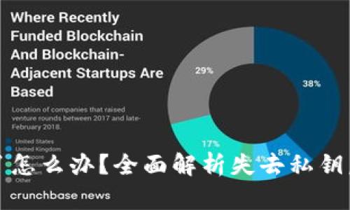 钱包私钥忘了怎么办？全面解析失去私钥后的解决方案