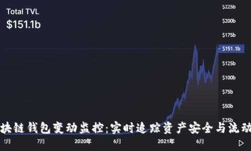 区块链钱包变动监控：实时追踪资产安全与流动性