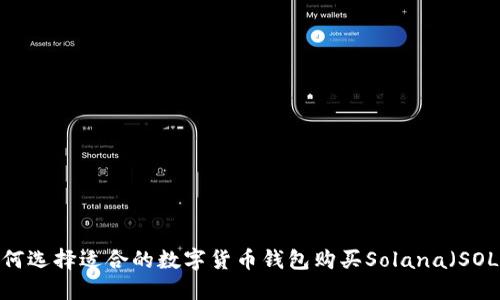 如何选择适合的数字货币钱包购买Solana（SOL）？