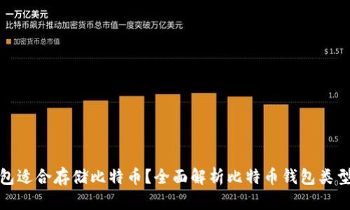 什么钱包适合存储比特币？全面解析比特币钱包类型与选择