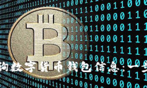 如何查询数字货币钱包信息：一步步指南