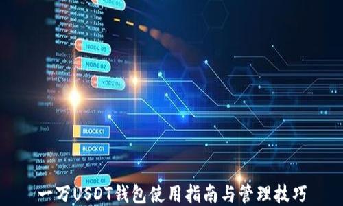 
一万USDT钱包使用指南与管理技巧