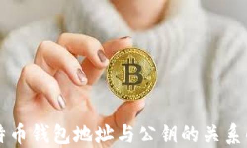 
比特币钱包地址与公钥的关系解析