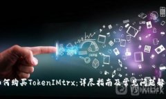 如何购买TokenIMtrx：详尽指