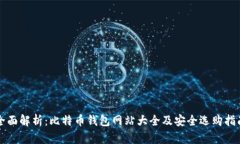 全面解析：比特币钱包网站大全及安全选购指南