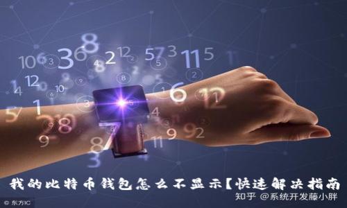 我的比特币钱包怎么不显示？快速解决指南