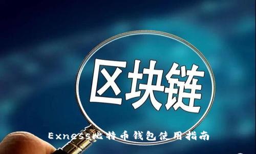 Exness比特币钱包使用指南