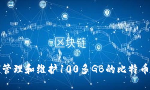 如何管理和维护100多GB的比特币钱包