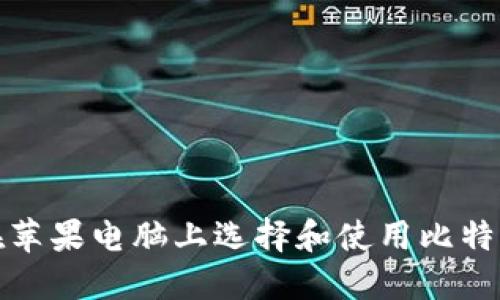 如何在苹果电脑上选择和使用比特币钱包