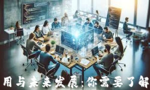 
加密货币的应用与未来发展：你需要了解的十个关键点