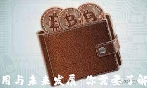 
加密货币的应用与未来发展：你需要了解的十个关键点
