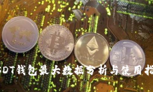 USDT钱包最大数据分析与使用指南