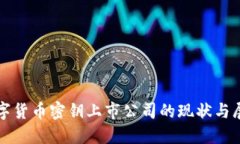 数字货币密钥上市公司的现状与展望