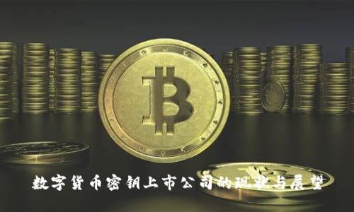 数字货币密钥上市公司的现状与展望