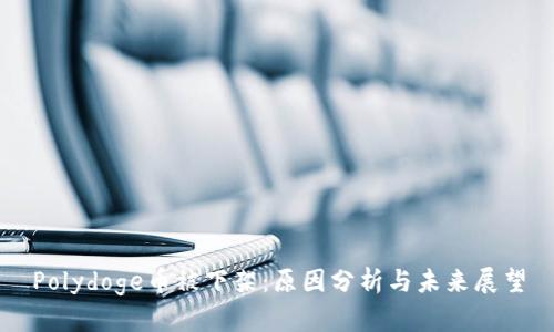 Polydoge币被下架：原因分析与未来展望