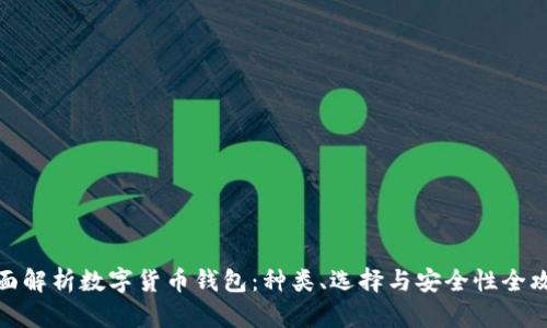 全面解析数字货币钱包：种类、选择与安全性全攻略