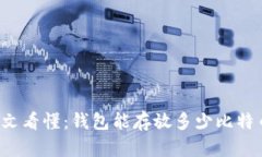 一文看懂：钱包能存放多