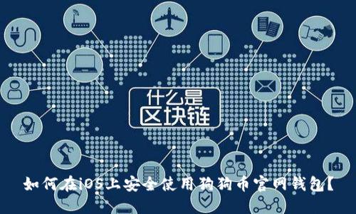如何在iOS上安全使用狗狗币官网钱包？