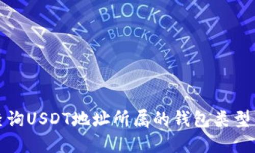 如何查询USDT地址所属的钱包类型与信息