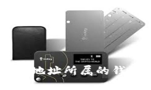 如何查询USDT地址所属的钱包类型与信息