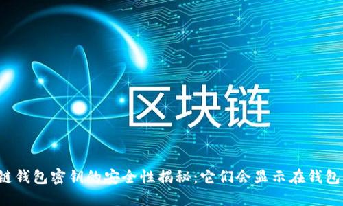 区块链钱包密钥的安全性揭秘：它们会显示在钱包里吗？