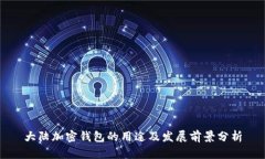 大陆加密钱包的用途及发展前景分析
