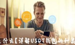 USDT钱包是什么？详解USD