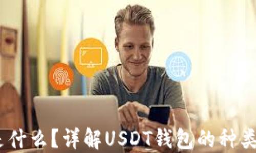 
USDT钱包是什么？详解USDT钱包的种类与使用方法