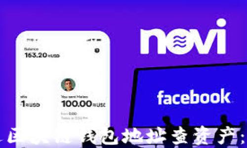 
如何通过区块链钱包地址查资产：全面指南