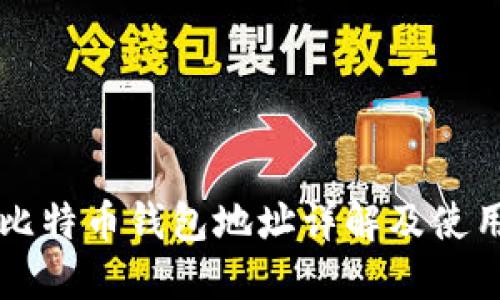 不同比特币钱包地址详解及使用指南