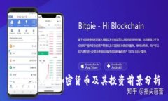 2023年十大加密货币及其投资前景分析