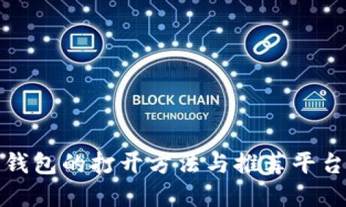 加密钱包的打开方法与推荐平台详解