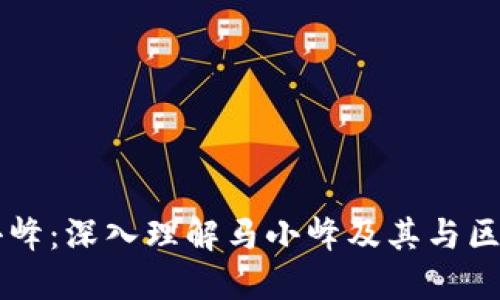 区块链马小峰：深入理解马小峰及其与区块链的关系